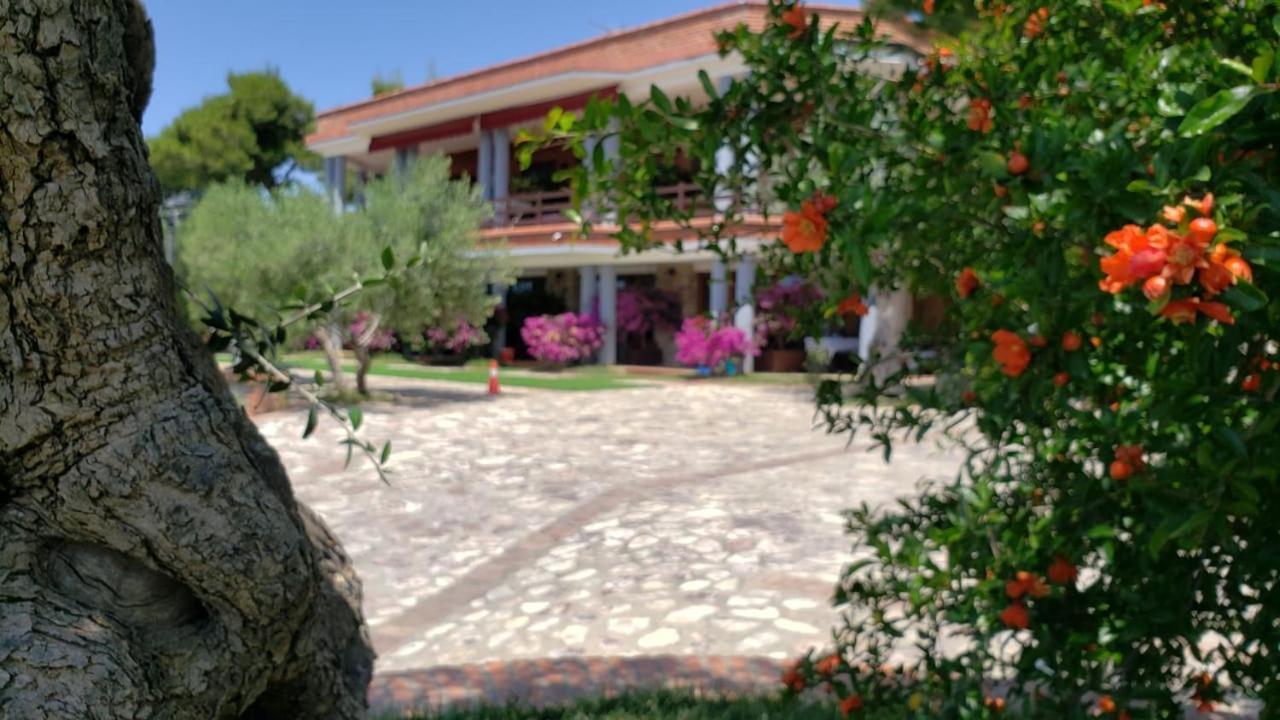 Hotel Brifs Shëngjin Exteriör bild