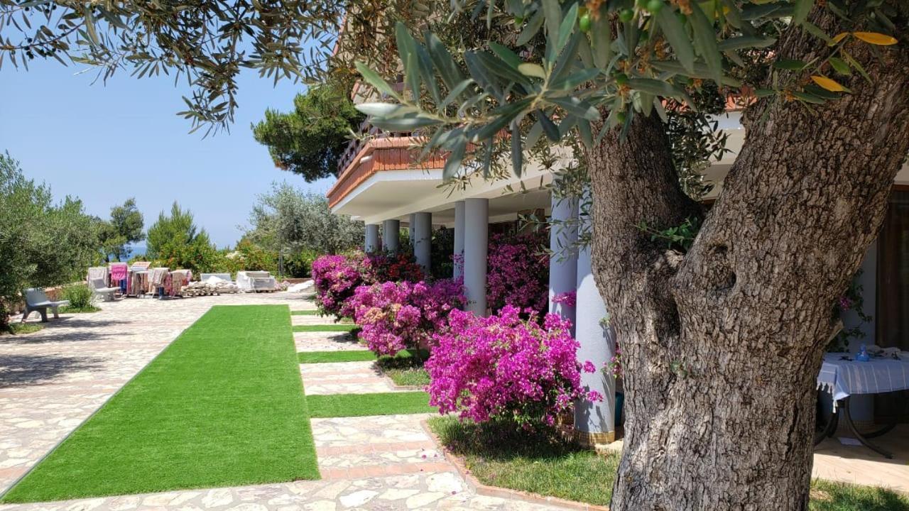 Hotel Brifs Shëngjin Exteriör bild