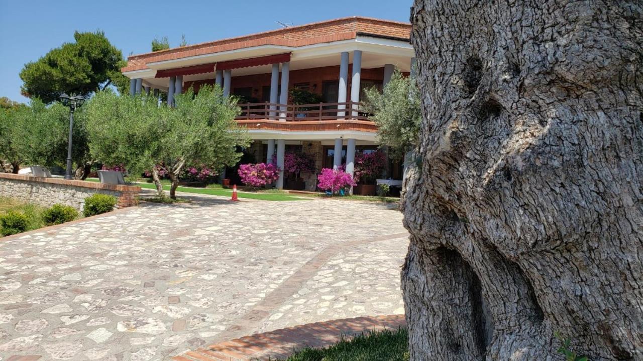 Hotel Brifs Shëngjin Exteriör bild